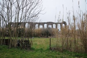 Cultura al tempo della crisi