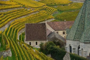 Vigneti Abbazia di Novacella_(c)Albert_Ceolan