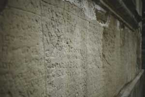 Il seme della violenza
