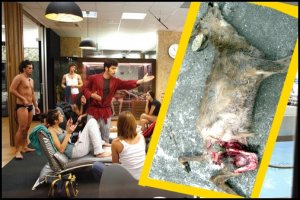 Grande Fratello 11: David e Jimmie uccidono cagnolino per gioco