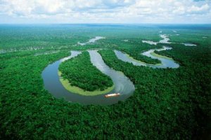 Amazzonia: una denuncia squarcia il velo sul taglio illegale d'alberi