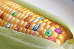 OGM: Alimentazione Biologica, diritti dei cittadini e doveri dello stato