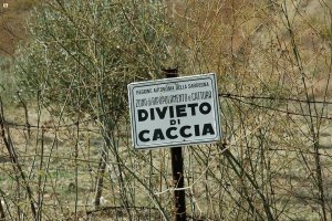 Legge di Stabilità e nuovi privilegi per la caccia