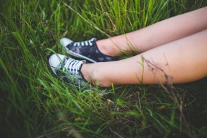 Zecche, come si prendono e come evitarle