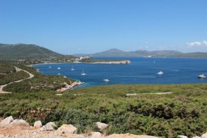 Mediterraneo: Flora e fauna, una ricchezza di biodiversità a rischio