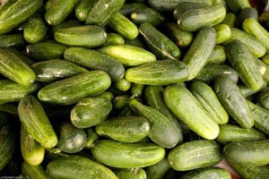 E.coli, vera emergenza?