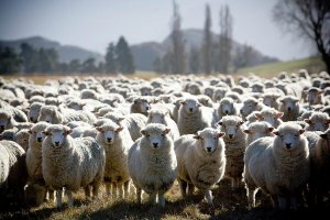 Una nuova terribile pandemia: si chiama pensiero unico