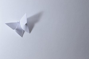 Volevo cambiare il mondo, hanno provato a cambiarmi
