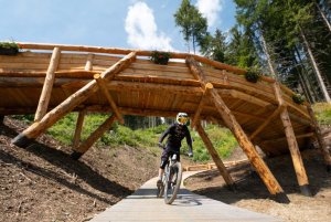 Bike Park Plan de Corones - ©DanielNiederkofler