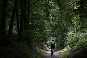 Ultimate Flanders 525 Sonian forest (c) Grinta!