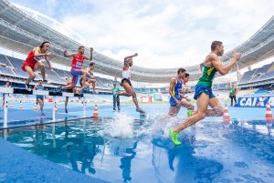 Il 2022 è stato l'anno dello sport