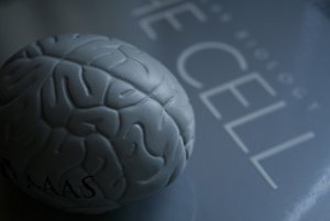 Ai confini tra la vita e la morte