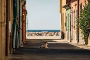 Economia: il Sud batte il Nord, forse per la prima volta