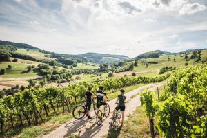 svizzera bici - Cicloturismo Ticino
