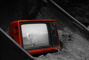 Caso Garlasco, quando un delitto diventa uno spettacolo mediatico