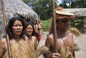 Amazzonia peruviana: tra lontre giganti, leggende e protezione ambientale