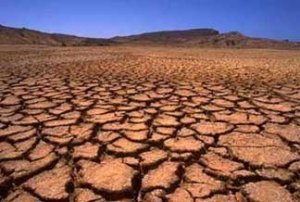 Fa caldo, governi struzzo!