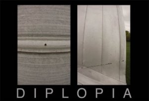 Diplopia. L'immagine fotografica nell'era dei media globalizzati