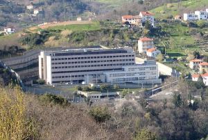 Dentro l'IIT, reportage, prima parte. Un giorno con i ricercatori