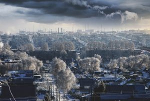 Più alberi = più ossigeno e meno CO2