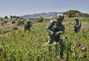 Afghanistan, l'editto anti-oppio e lo "strano" tempismo di una guerra che non finirà