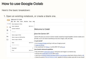 Screenshot of instructions on how to use Google Colab.