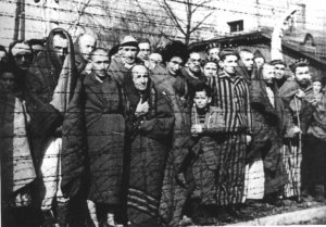 Riempire i treni di rom e spedirli ad Auschwitz. Lo dicono i leghisti