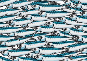 Sardine viola in girotondo