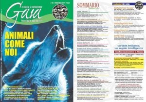 Agenda Onu 2030: i significati del dialogo interculturale