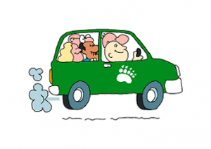Car pooling