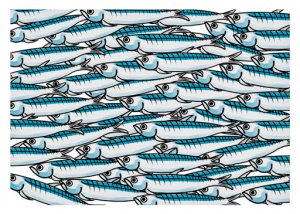 Sardine: la foto con Benetton e la speculazione mediatica
