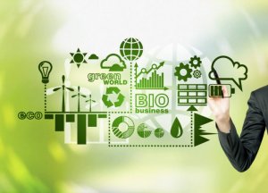 Limiti e criticità della Green Economy