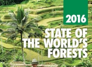FAO: agricoltura responsabile del 73% della deforestazione ai Tropici