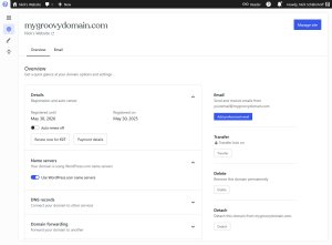 Screenshot of the WordPress.com website overview.