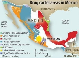 Narcos e Social Media: attivisti digitali nel mirino