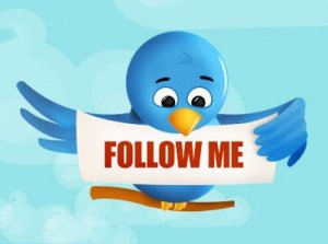 Twitter e la compravendita di follower. E nasce l'hashtag #sefossiSerino