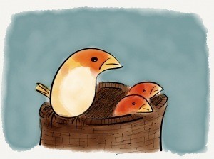 Il cinguettio che aiuta a capire il cervello