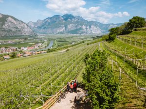 enoturismo in bicicletta - Piana Rotaliana Königsberg - Giro del Vino 50 - Ph. Nicola Cagol