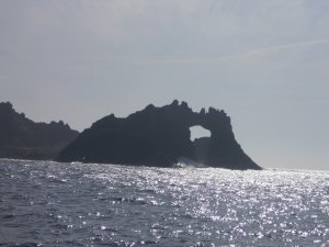 Farallon Islands: balene a pochi passi dalla città