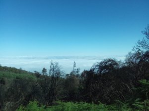 Brucia ancora, brucia sempre la Terra dei Fuochi