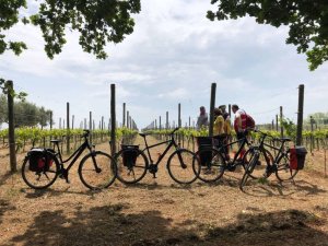 enoturismo in bicicletta