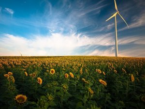 L'energia eolica: perché conviene