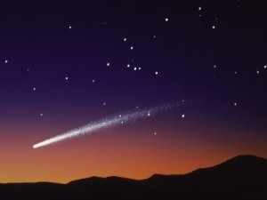 La notte delle stelle cadenti nel PD
