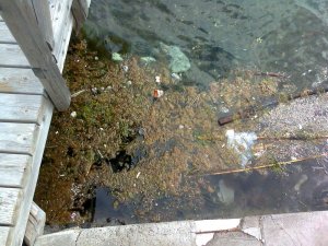 Il Comune di Bacoli chiede un Sopralluogo al Depuratore di Cuma: Ecco la Nota Inviata alla Regione Campania