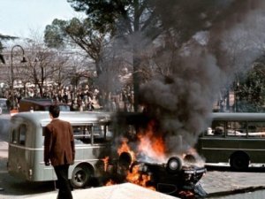 Saviano, non sei Pasolini