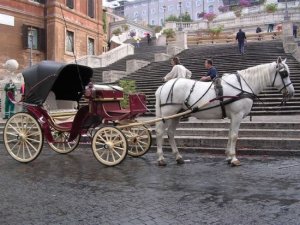 Storie di ruote al museo delle carrozze di Roma