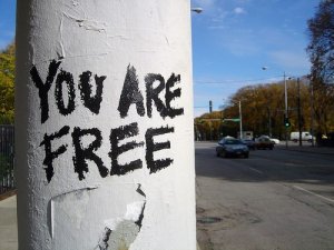Dovete resistere a quest'intollerabile attacco alla libertà d'espressione