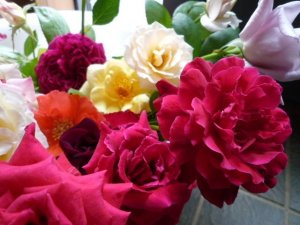 Il mondo magico dei fiori