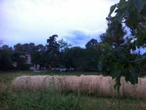 Istruzioni per l'uso del paesaggio agricolo