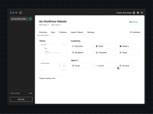 Screenshot of the WordPress Studio Overview screen.